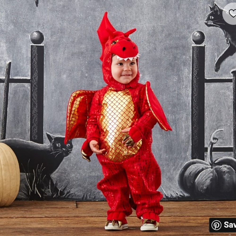 Pottery Barn Baby Dragon Costume